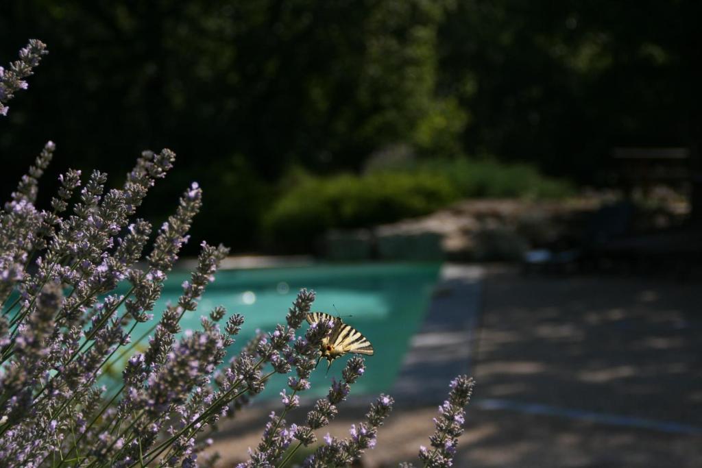 La Villa Des Pins Verrieres  Экстерьер фото